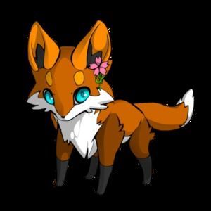 Meet your Posher, Cameron